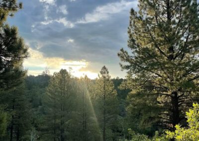 RV Park and Campsites
